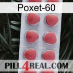 Poxet-60 18